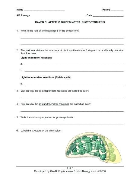 Photosynthesis Starts With Worksheet Answers Kindle Editon