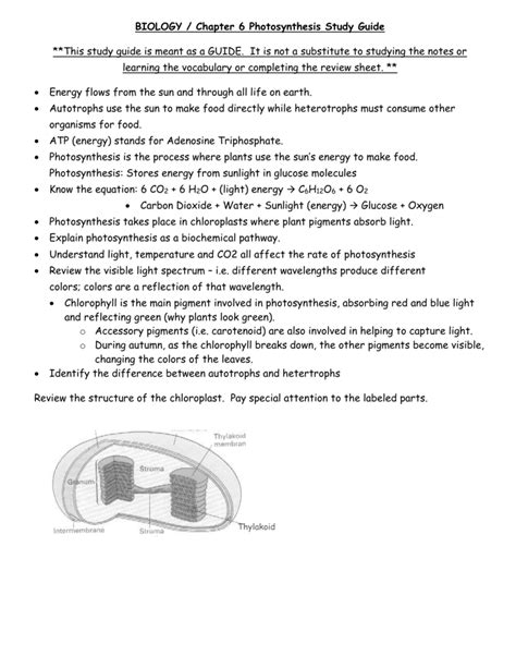 Photosynthesis Study Guide With Answers PDF