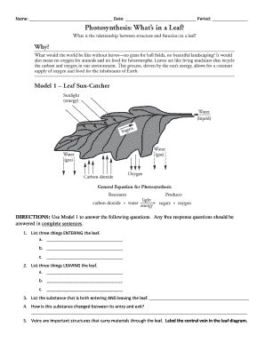 Photosynthesis What In A Leaf Pogil Answer Key PDF