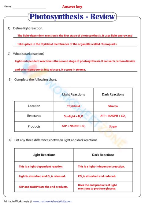 Photosynthesis Wordwise Answer Key PDF