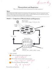 Photosynthesis and respiration pogil answers Ebook Reader