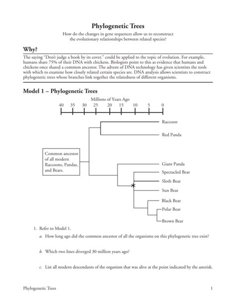 Phylogenetic Tree Answer Key Epub