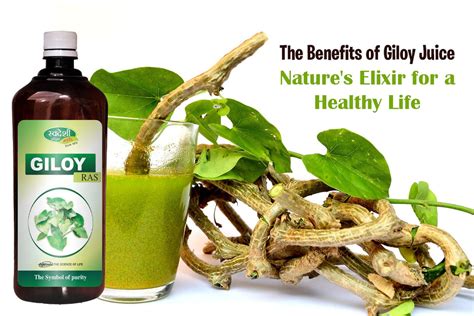 Physical Benefits: Nature's Elixir for Health