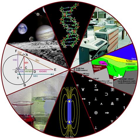 Physical Biological Science: Uncovering the Interplay between Physics and Biology