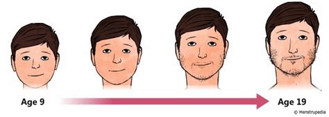 Physical Changes in the Face