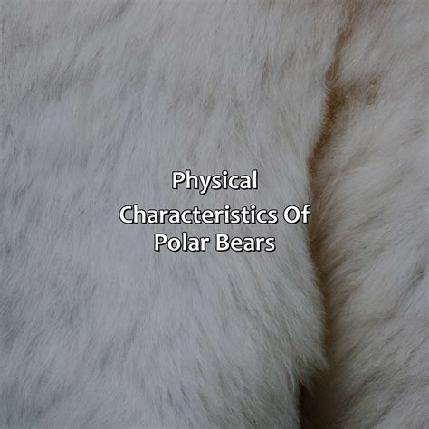 Physical Characteristics: A Palette of Size, Color, and Fur