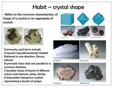 Physical Characteristics of Grape Crystals