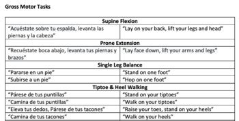 Physical Therapy in Spanish: The Complete Guide to Treating Pain and Improving Function