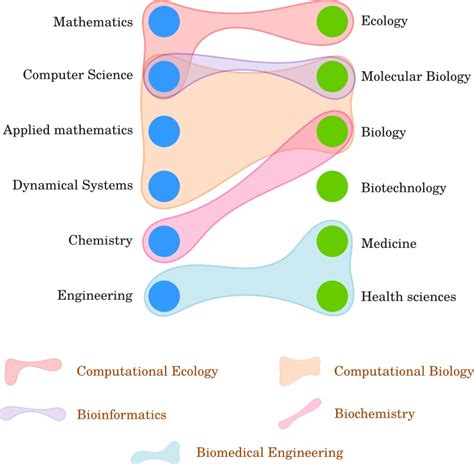 Physical and Biological Sciences: An Interdisciplinary Symphony of Discovery