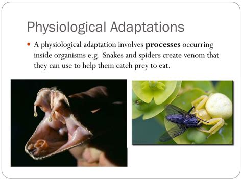 Physiological Adaptations: