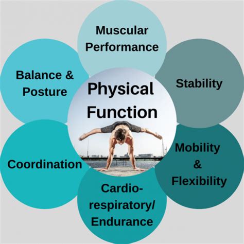 Physiology and Biomechanics: