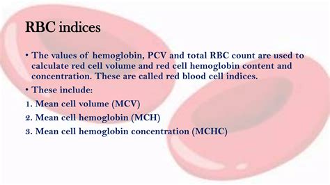 Physiology and Significance of RBC, Hgb, and HCT