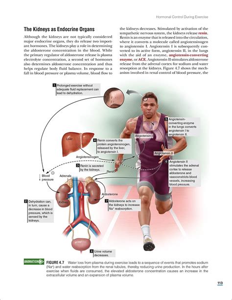 Physiology of Sport and Exercise 6th Edition With Web Study Guide Reader