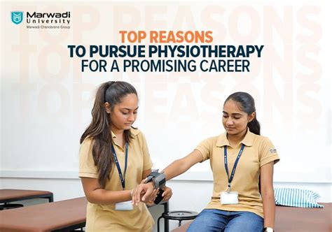 Physiotherapy Jobs in Singapore: A Promising Career Path in Healthcare