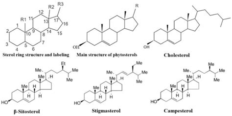 Phytosterols: