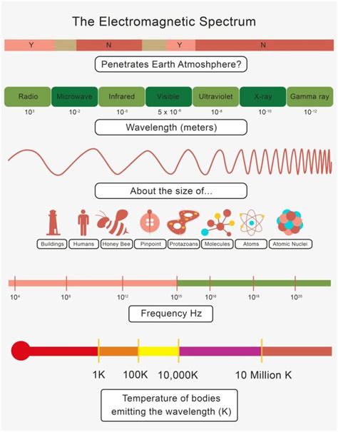 Phyzspringboard The Em Spectrum Answers PDF