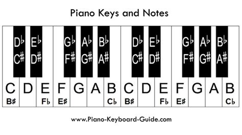 Piano Keyboard Theory: A Comprehensive Guide to Mastering the Black and White Keys