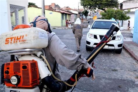 Picada de Muriçoca: Entenda os Riscos e Aprenda a Se Proteger