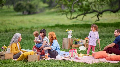 Picnic With Your Family in Style