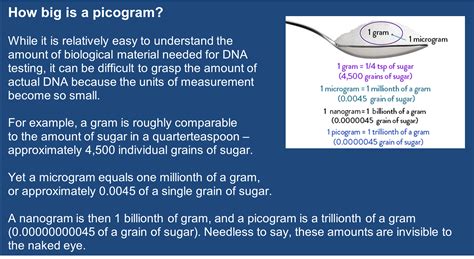 Picogram: The Tiniest of Measurements