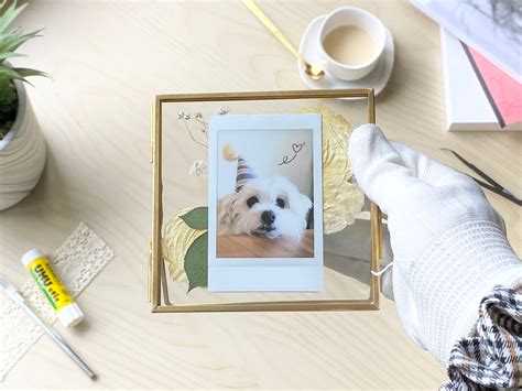 Picture Frame Display Boxes: The Perfect Home for Your Precious Memories