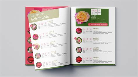 Picture Of A Catalogue