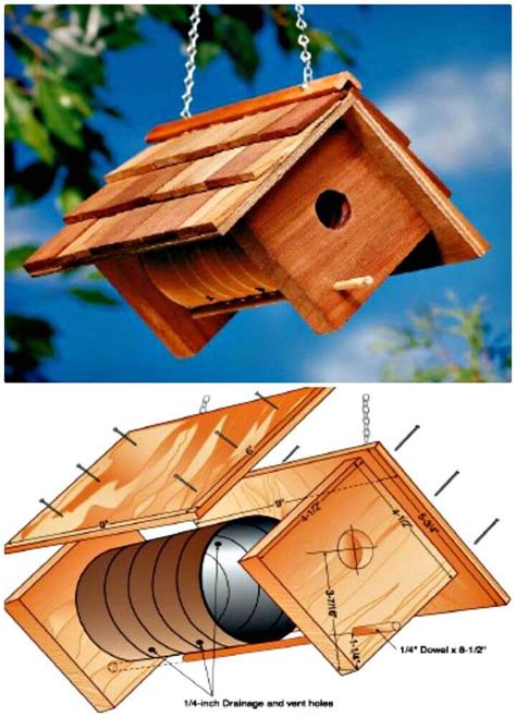 Pictures: How to Dress Up Around a Birdhouse in 10 Easy Steps