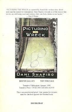 Picturing the Wreck PDF
