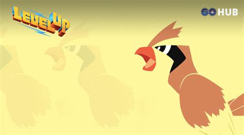 Pidgey Level Evolutions: A Complete Guide to Leveling Up Your Pidgey