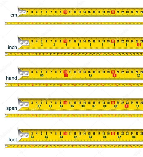 Pie a Centimetro: A Comprehensive Guide to Pie Measurement