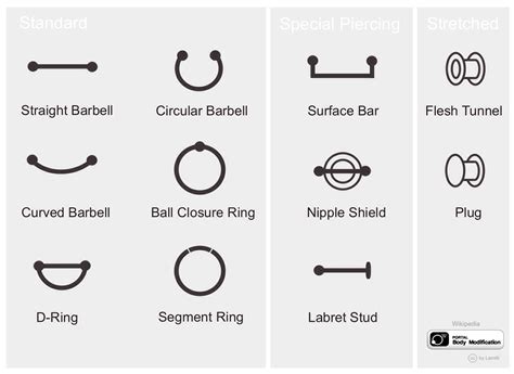 Piercing Names: The Ultimate Guide to Body Jewelry Nomenclature