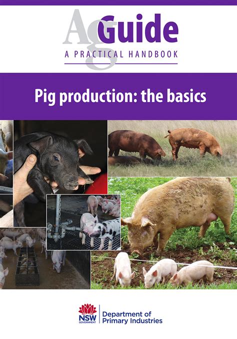 Pig Basics