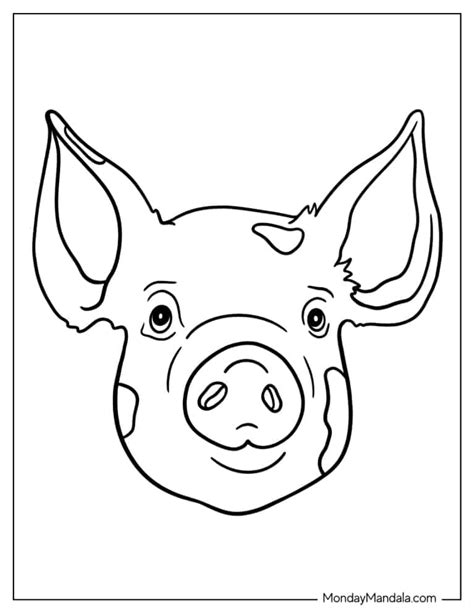 Pig Head Outline Realistic Easy Facing Forwards: A Comprehensive Guide