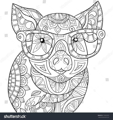 Pig Mandala Coloring Book for Adults Release your Anxiety and Stress The best Adults coloring book Kindle Editon