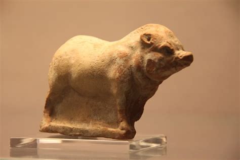 Pig Mask: A Prehistoric Artifact with Enduring Significance