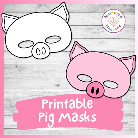 Pig Mask Applications