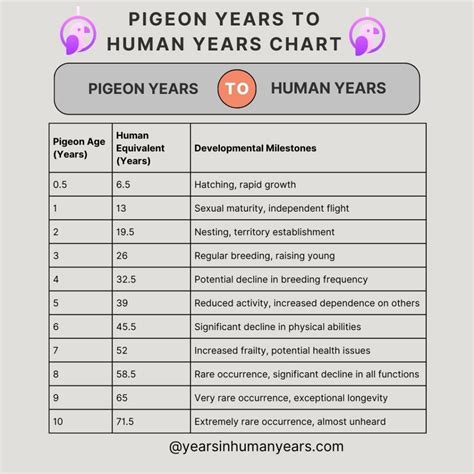 Pigeon Age Chart