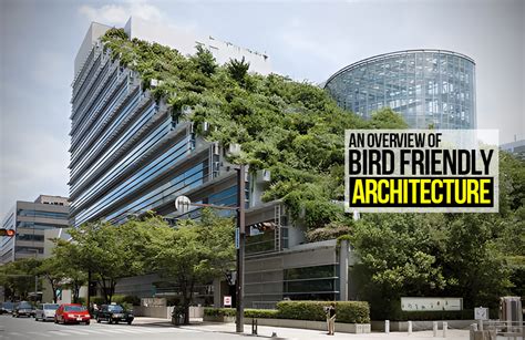 Pigeon-Friendly Architecture: