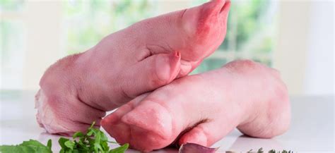 Piggy Pics Feet: A Comprehensive Guide to the Anatomy and Physiology of Pig's Feet