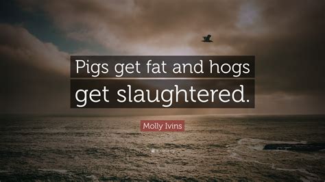 Pigs Get Fat, Hogs Get Slaughtered Meme: A Cautionary Tale for the Overconfident