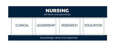 Pillars of Rowan's Nursing Excellence