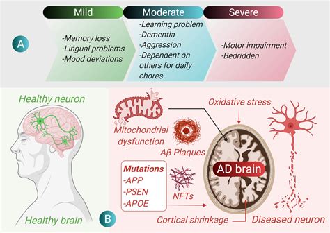 Pimnalin: A Comprehensive Guide to the Groundbreaking Treatment for Alzheimer's Disease