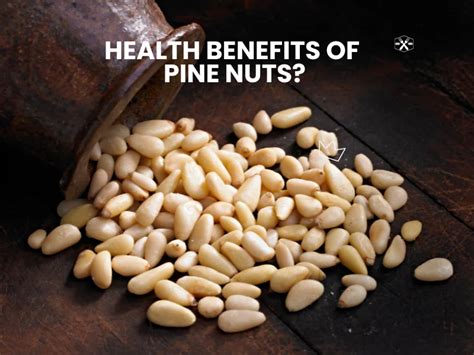 Pine Seeds: The Tiny Powerhouse Nutritionally Dense Pine Seeds Offer a Wealth of Health Benefits