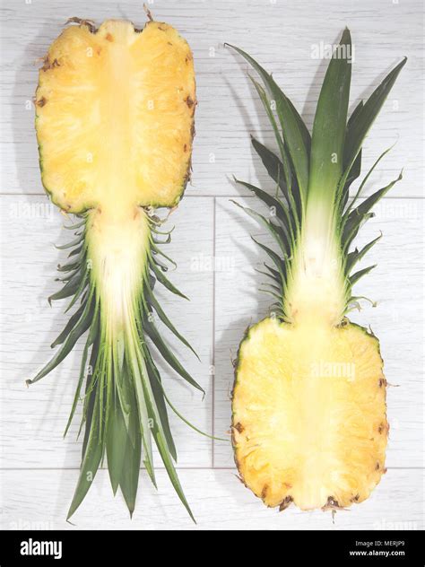 Pineapple Energy Stock: Revealing the Hidden Potential of 336° Fruit