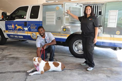 Pinellas County Animal Services: A Comprehensive Guide