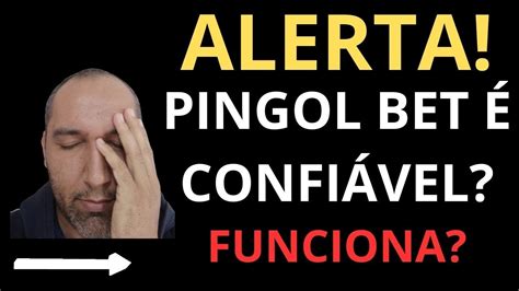 Pingol Bet