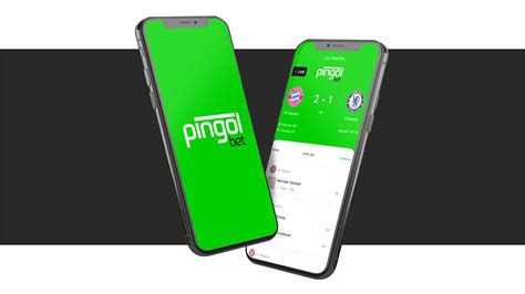 Pingol Bet: O Guia Definitivo