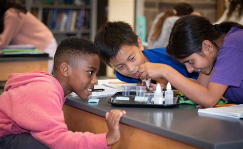 Pingry Summer Camp NJ: Unforgettable Experiences for Young Explorers