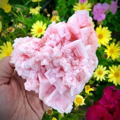 Pink Halite: The Alluring Mineral with Extraordinary Properties