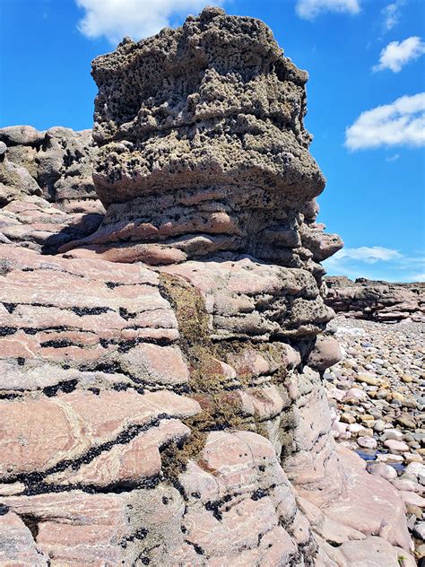 Pinkish Rocks: A Geological Enigma with Captivating Beauty and Practical Applications